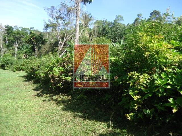 Sítio para Venda em Juquitiba - 5