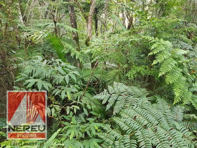 #1292 - Terreno para Venda em Juquitiba - SP - 3