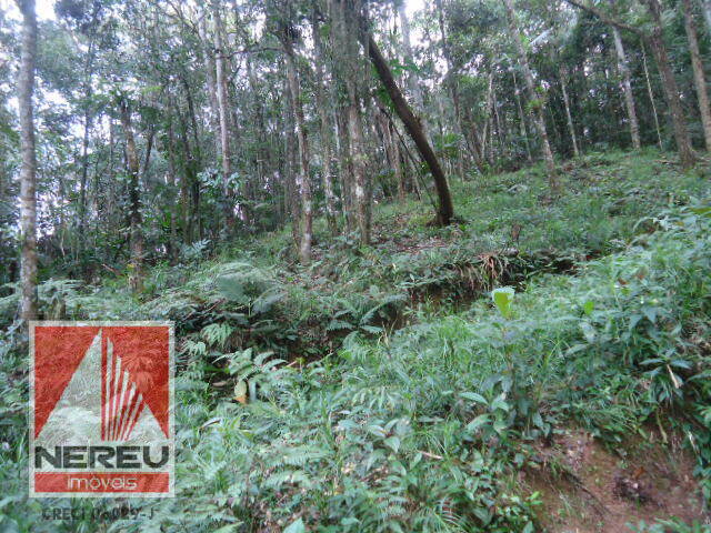 #1301 - Terreno para Venda em Juquitiba - SP - 1