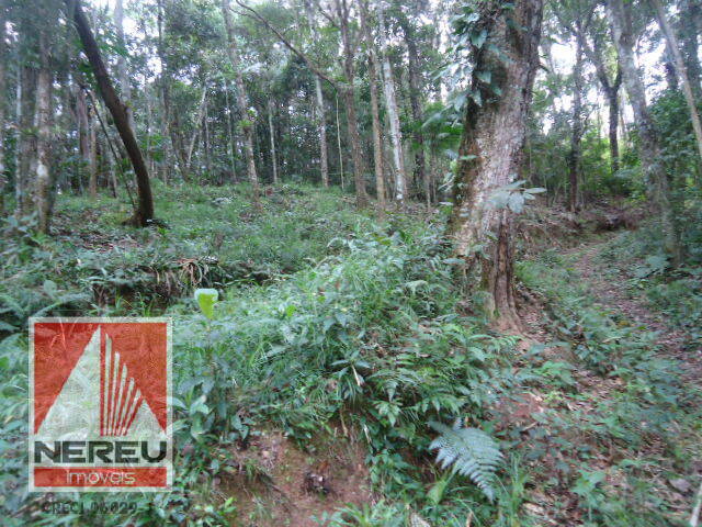 #1301 - Terreno para Venda em Juquitiba - SP - 2