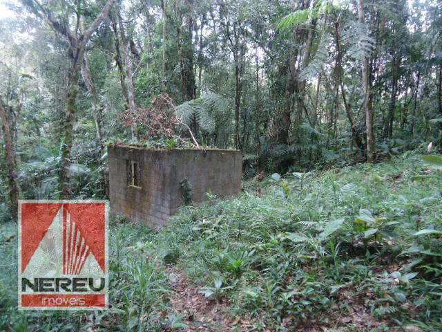 #1301 - Terreno para Venda em Juquitiba - SP - 3