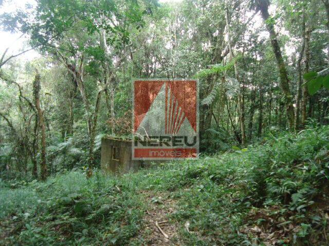 Terreno para Venda em Juquitiba - 4