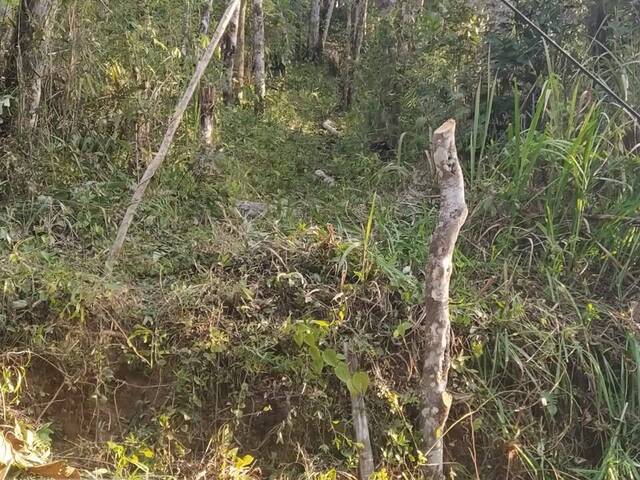 #936 - Terreno para Venda em Juquitiba - SP - 1