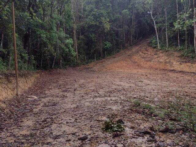 #1323 - Área para Venda em Juquitiba - SP - 2