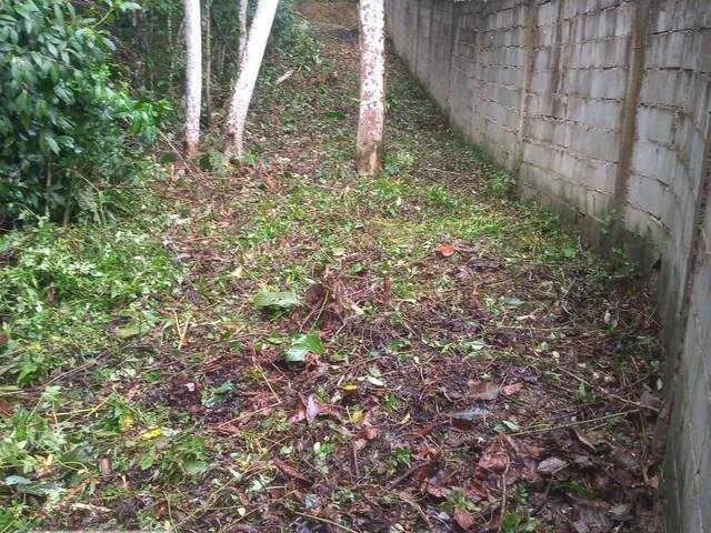 #1340 - Terreno para Venda em Juquitiba - SP - 2