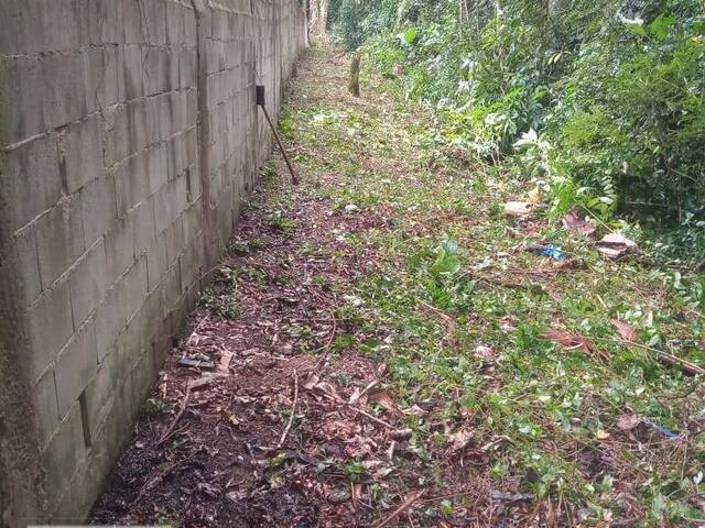 #1340 - Terreno para Venda em Juquitiba - SP - 1