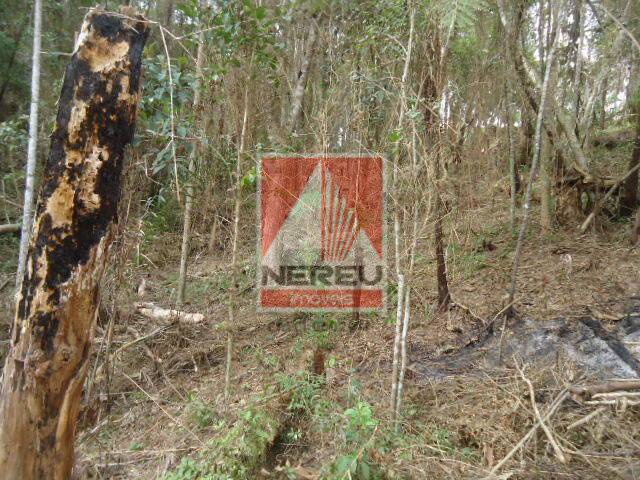 Terreno para Venda em Juquitiba - 4