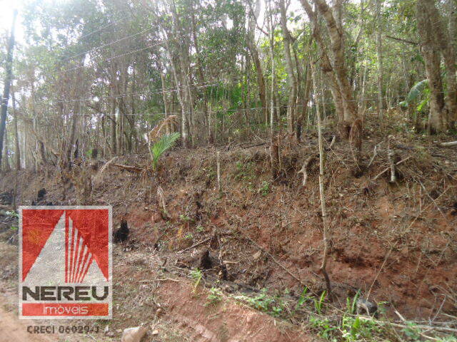 #1382 - Terreno para Venda em Juquitiba - SP - 3