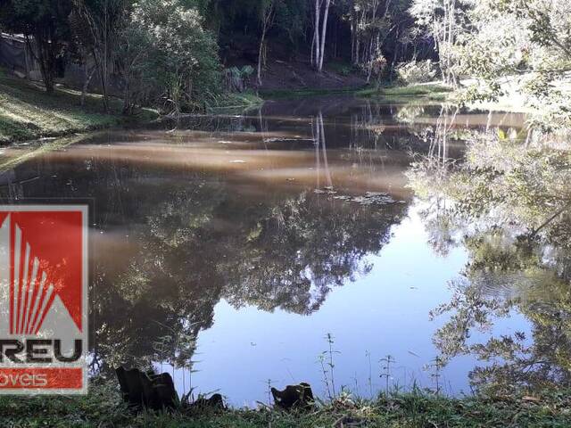 #1390 - Sítio para Venda em Juquitiba - SP - 3