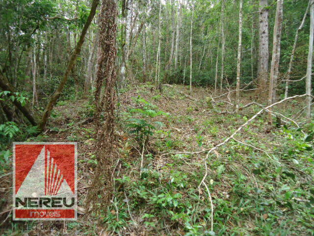 #879 - Terreno para Venda em Juquitiba - SP - 2