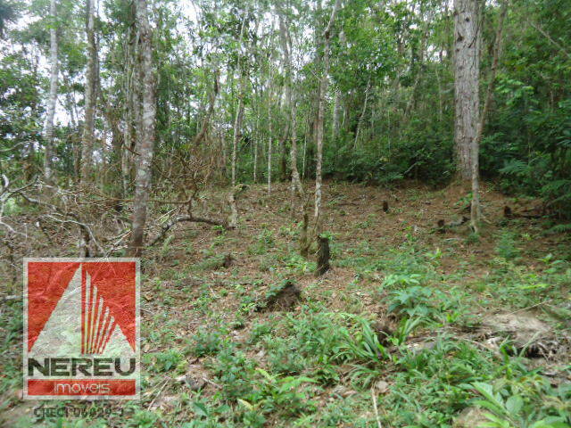 #879 - Terreno para Venda em Juquitiba - SP