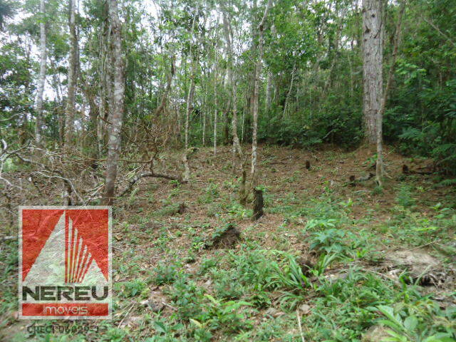 #879 - Terreno para Venda em Juquitiba - SP - 1