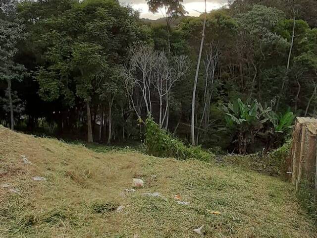 #1457 - Terreno para Venda em Juquitiba - SP - 3