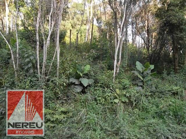 #1522 - Terreno para Venda em Juquitiba - SP - 3