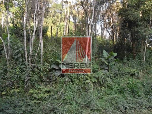 Terreno para Venda em Juquitiba - 4