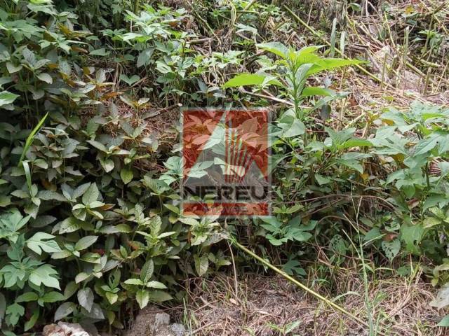 Terreno para Venda em Juquitiba - 4