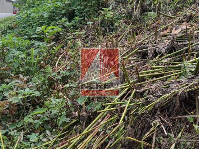 Terreno para Venda em Juquitiba - 5