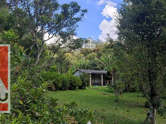 Venda em Centro - São Lourenço da Serra