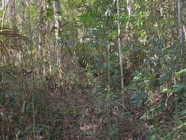 #1606 - Terreno para Venda em Juquitiba - SP