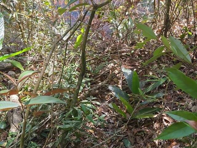 #1606 - Terreno para Venda em Juquitiba - SP - 3