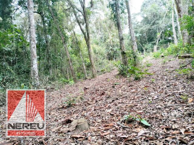 #1637 - Terreno para Venda em Juquitiba - SP - 3