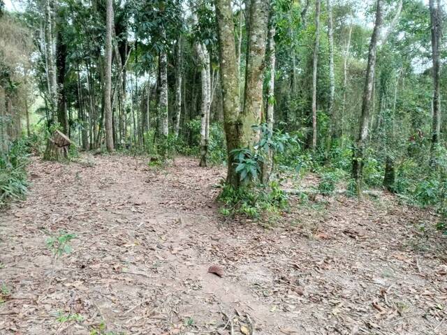 #1638 - Terreno para Venda em Juquitiba - SP - 3