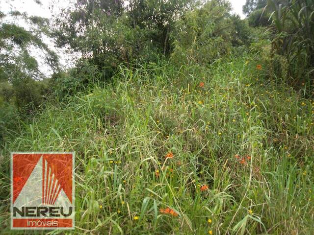 #1641 - Área para Venda em Juquitiba - SP - 3