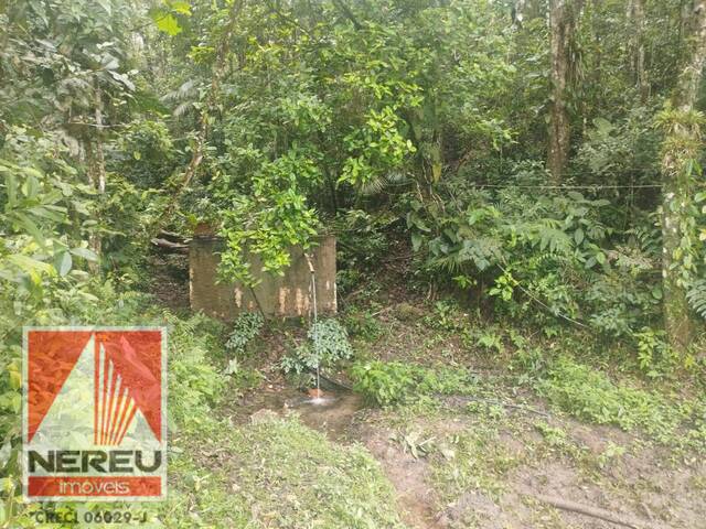 #1654 - Área para Venda em Juquitiba - SP - 1