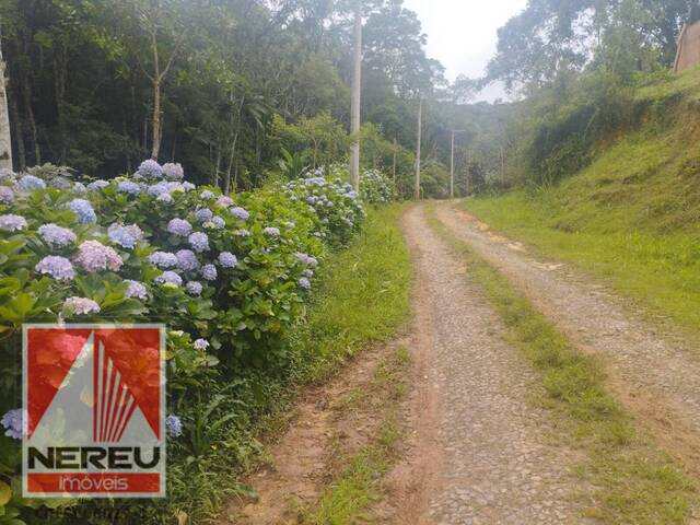#1654 - Área para Venda em Juquitiba - SP - 2
