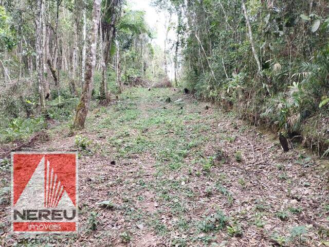 #1661 - Terreno para Venda em Juquitiba - SP - 1