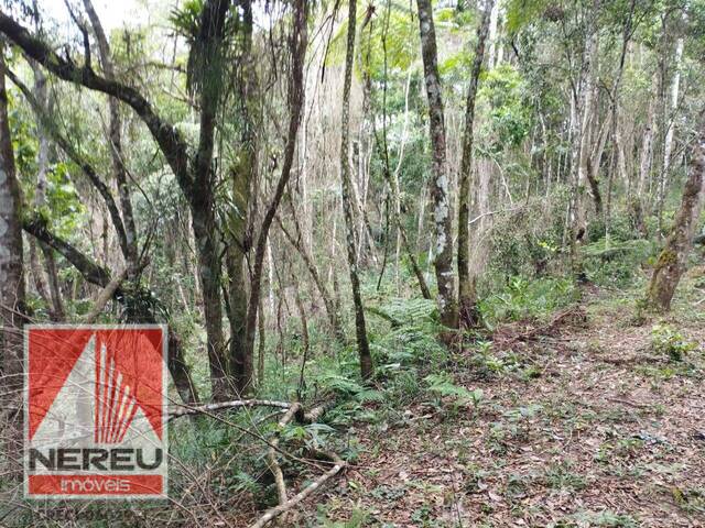 #1661 - Terreno para Venda em Juquitiba - SP - 3