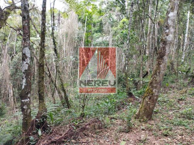Terreno para Venda em Juquitiba - 4