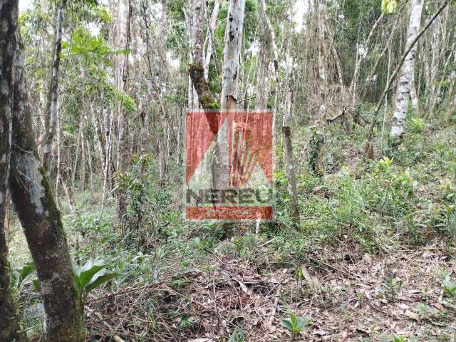 Terreno para Venda em Juquitiba - 5