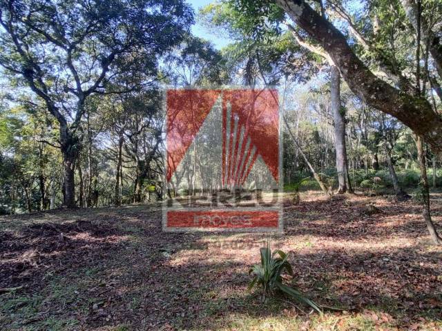 Terreno para Venda em Juquitiba - 5
