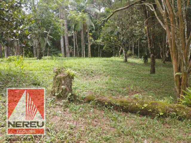 #1236 - Terreno para Venda em Juquitiba - SP - 1