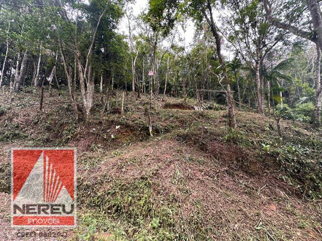 #1663 - Terreno para Venda em Juquitiba - SP - 3