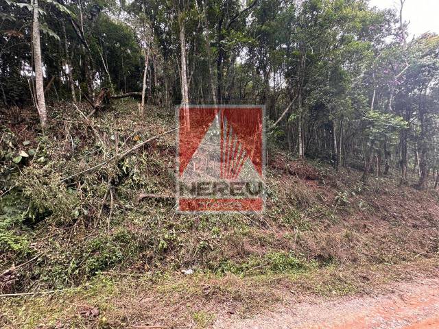 Terreno para Venda em Juquitiba - 4