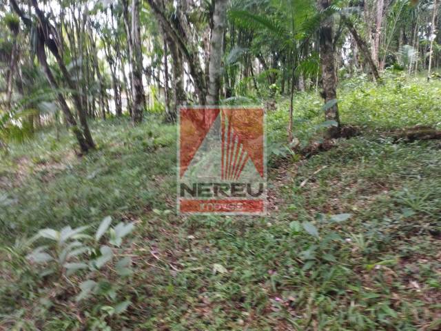 Terreno para Venda em Juquitiba - 5