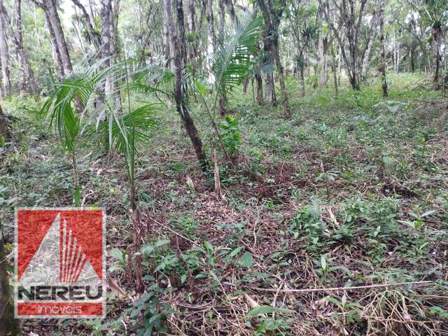 #1679 - Terreno para Venda em Juquitiba - SP - 3