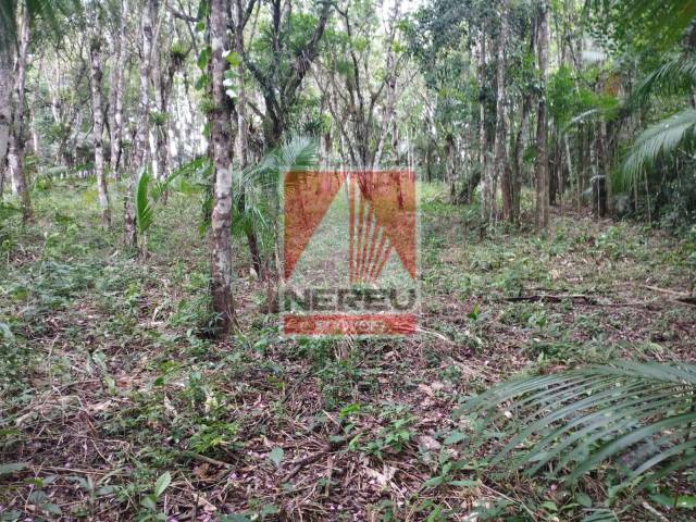 Terreno para Venda em Juquitiba - 4