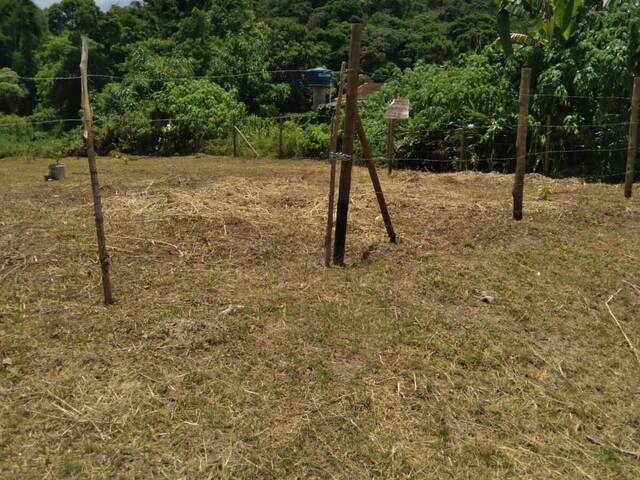 #1687 - Terreno para Venda em Juquitiba - SP - 1