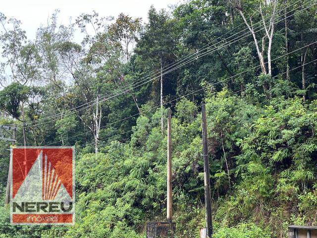 #1706 - Terreno para Venda em Juquitiba - SP - 2