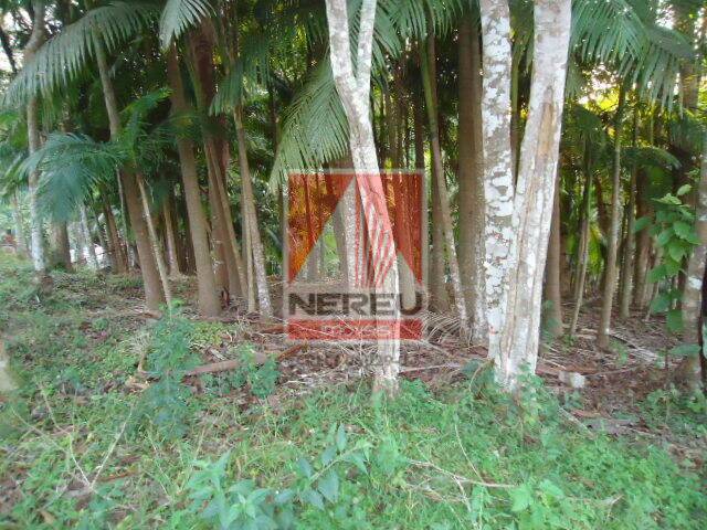 Terreno para Venda em Juquitiba - 5