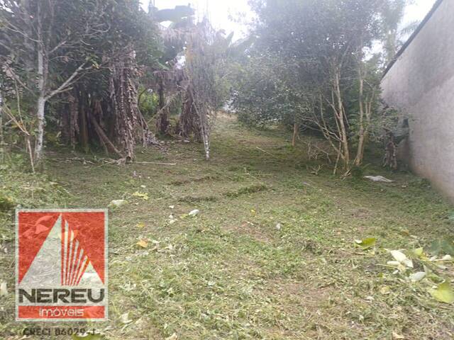 #1374 - Terreno para Venda em Juquitiba - SP - 3