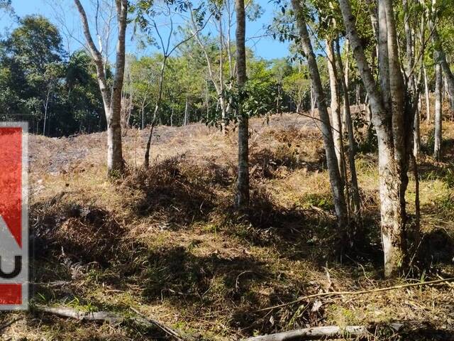 #1724 - Terreno para Venda em Juquitiba - SP - 3