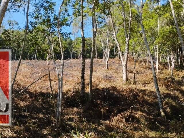 #1724 - Terreno para Venda em Juquitiba - SP - 2