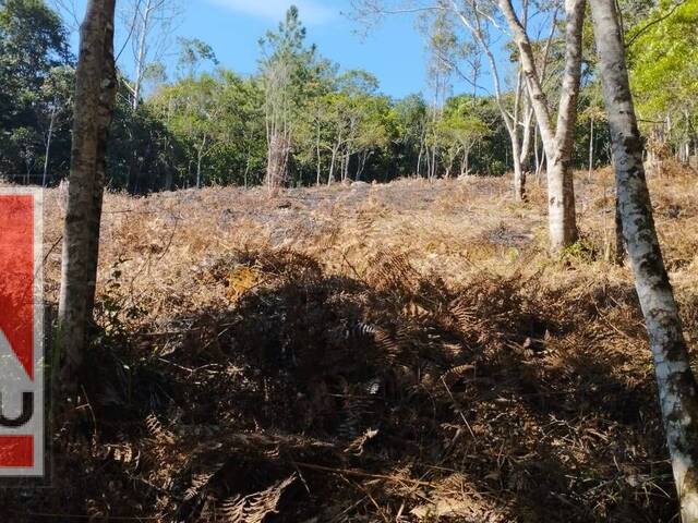 #1724 - Terreno para Venda em Juquitiba - SP - 1