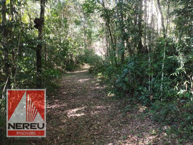 #1726 - Terreno para Venda em Juquitiba - SP - 2