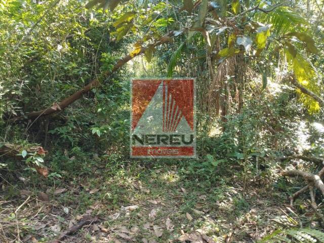 Terreno para Venda em Juquitiba - 5