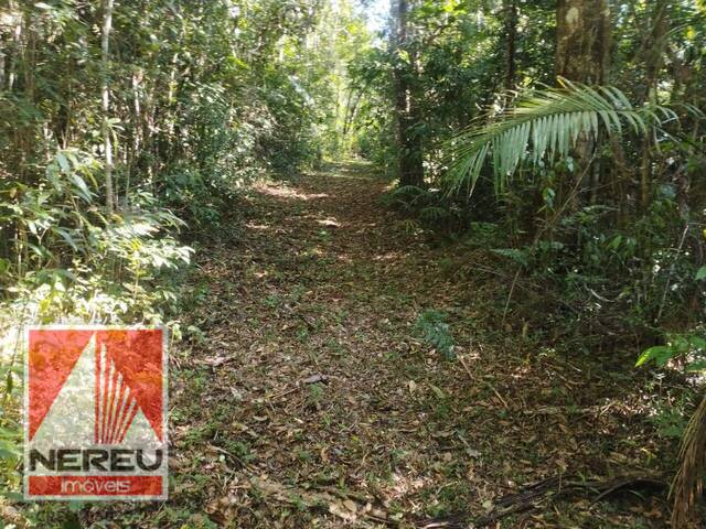 #1726 - Terreno para Venda em Juquitiba - SP - 1